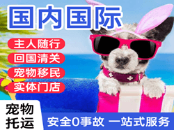 无锡空运国际宠物托运 【国